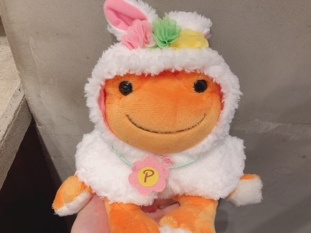 image1.jpeg