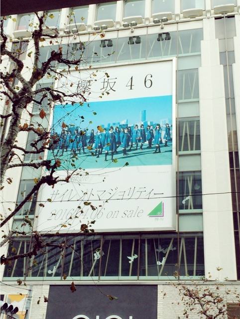 image1.JPG