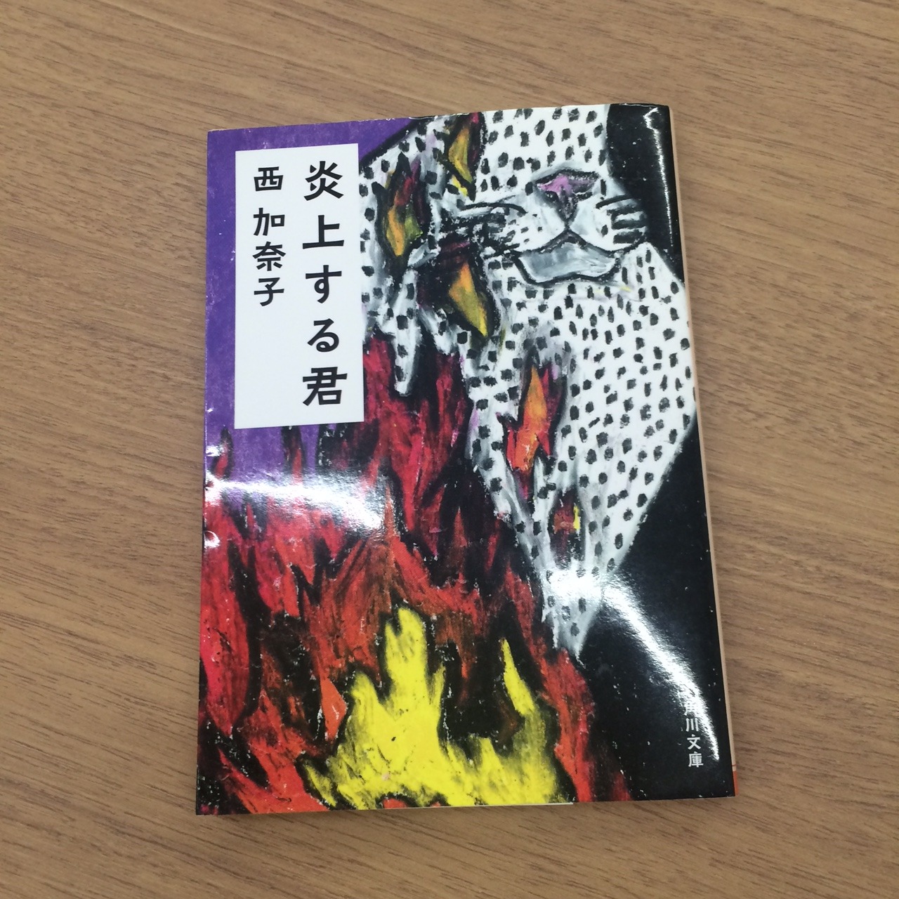 image1.JPG