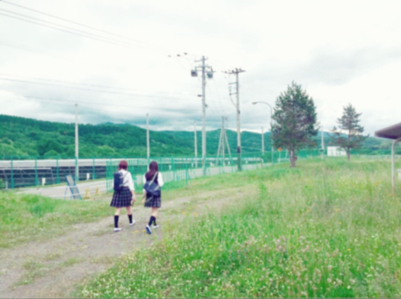 image1.JPG