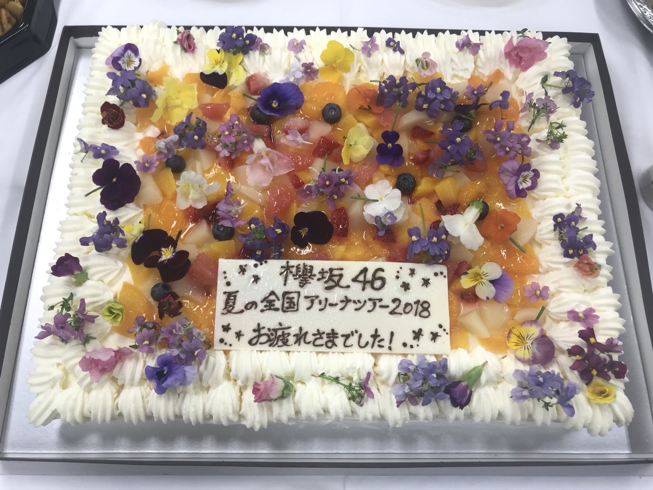 image1.JPG