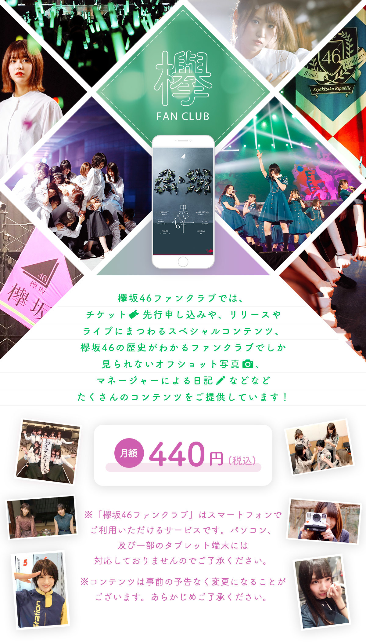 欅坂46公式サイト 欅坂46公式サイト