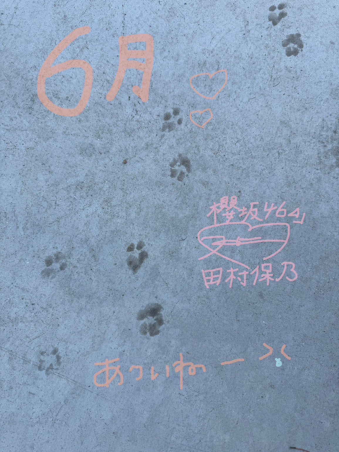 田村 保乃 | 欅坂46公式サイト